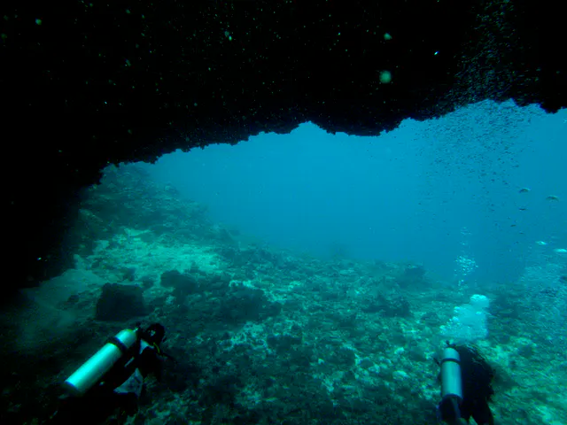 Looking under the Coral Bridge toward the open ocean.