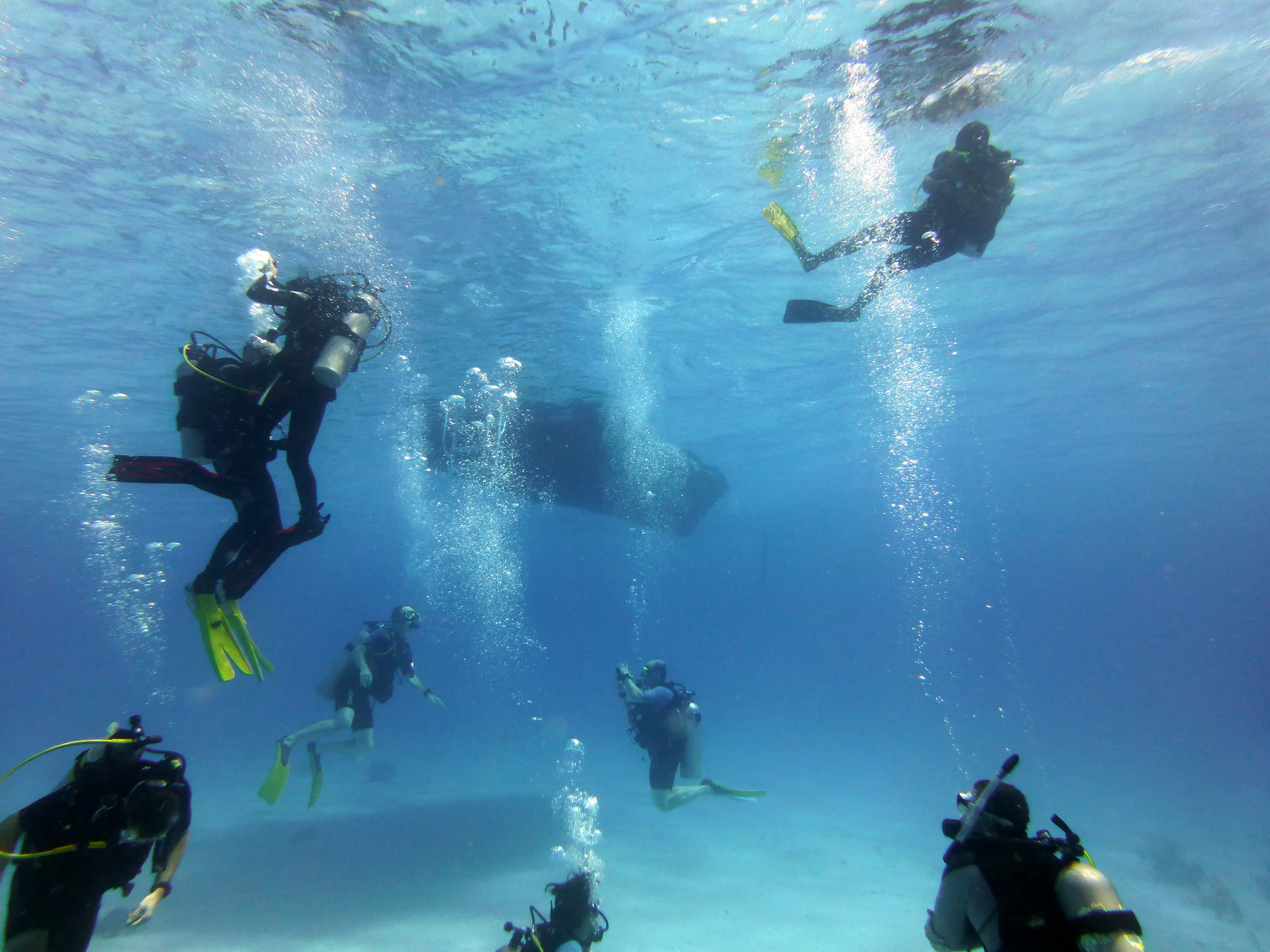 Bonaire underwater photograph, 2013