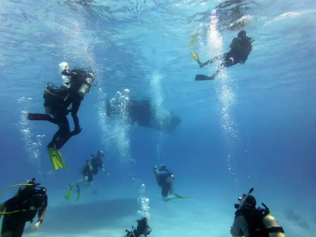 Underwater photograph by Joel Bergsma