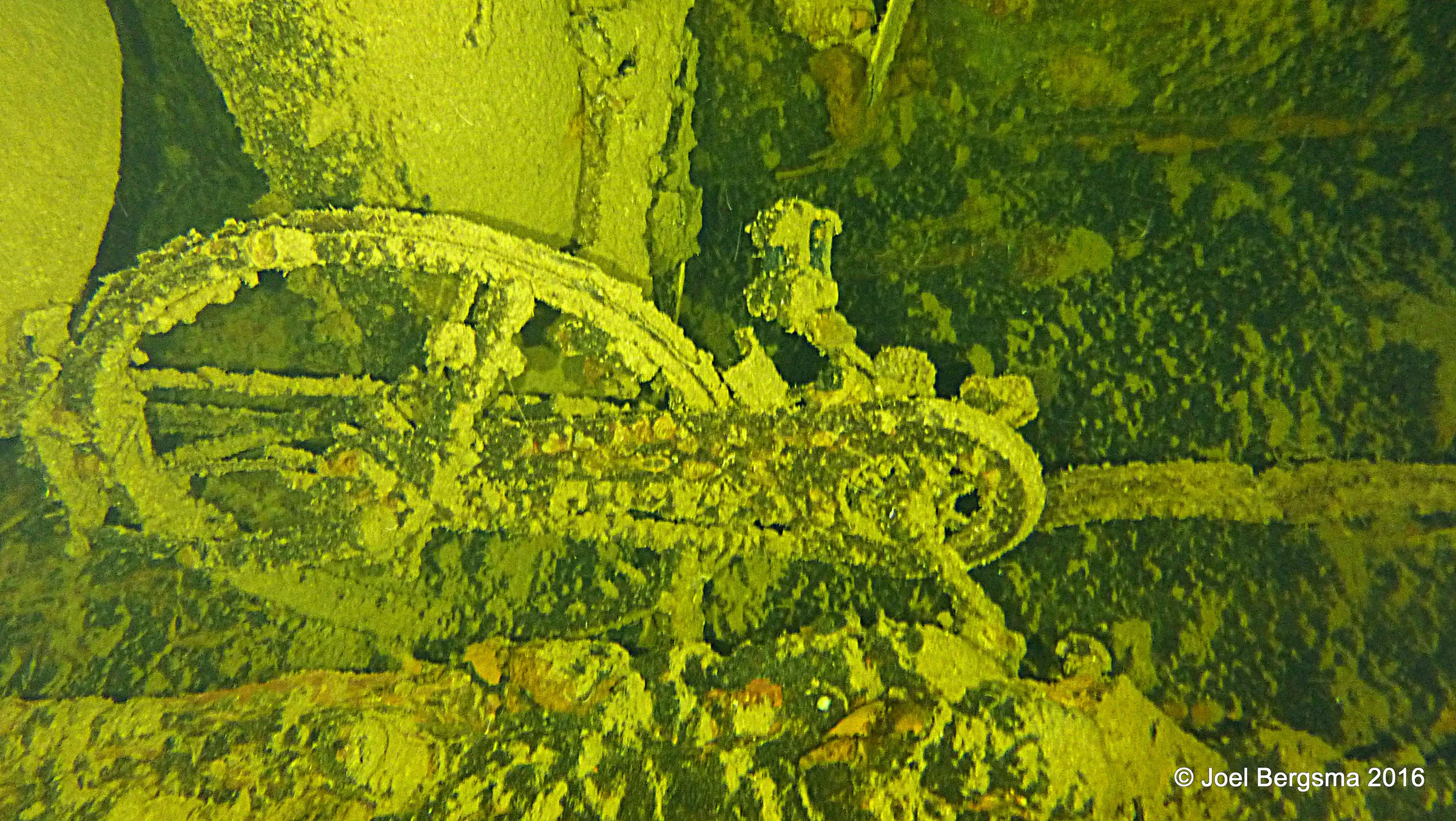 Chuuk Lagoon underwater photograph, 2016