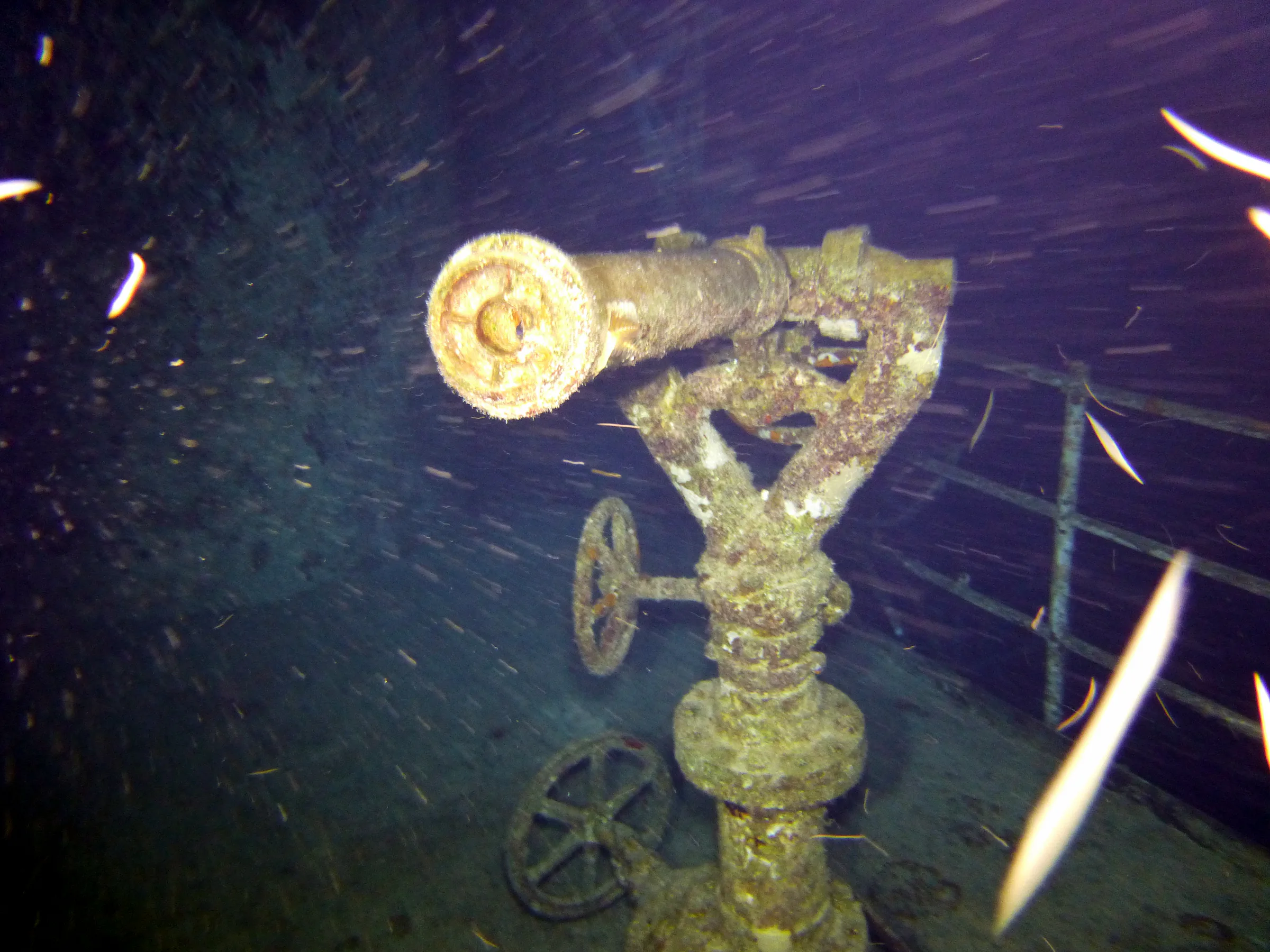 Cayman Islands underwater photograph, 2014