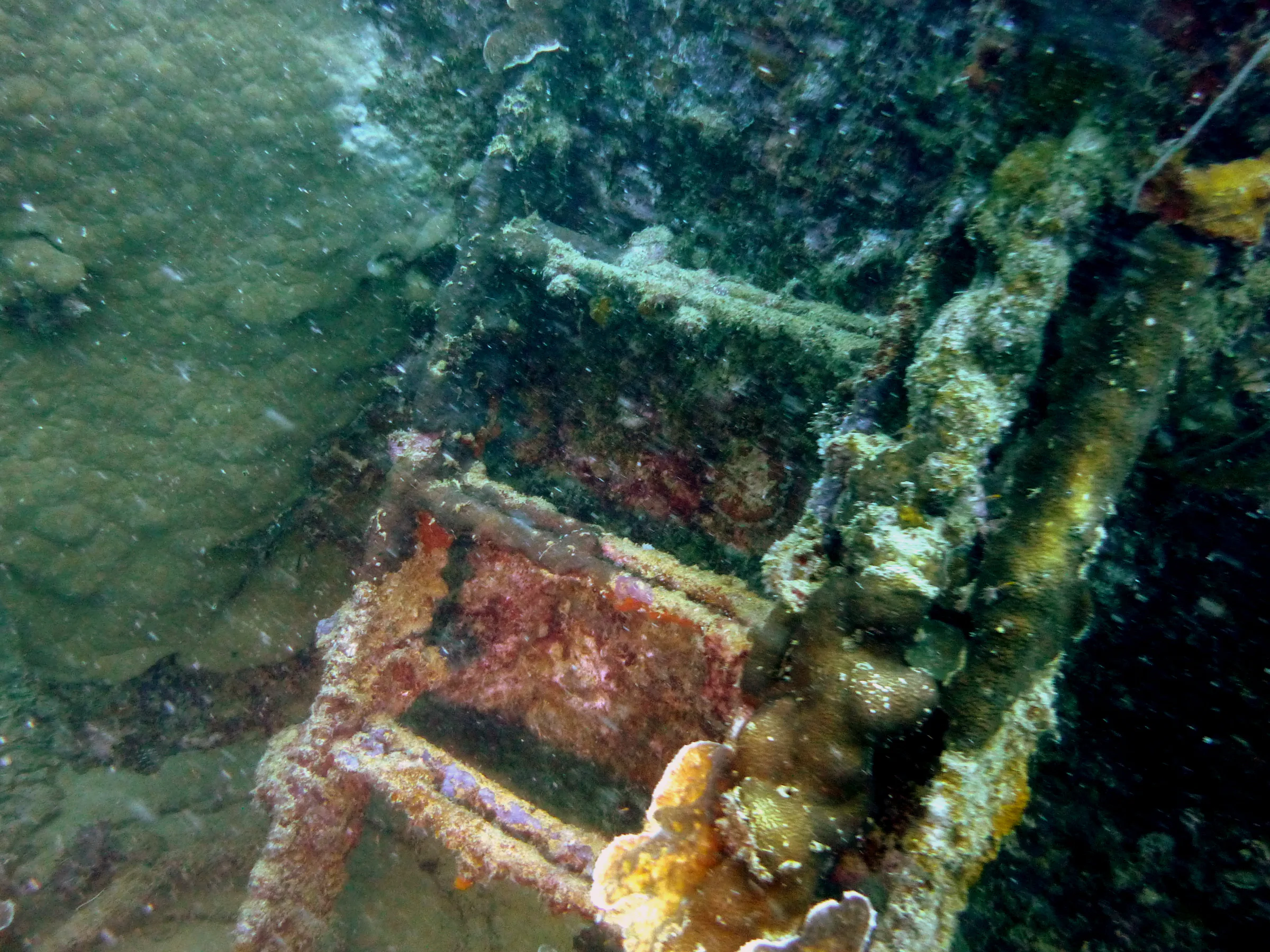 Palau underwater photograph, 2013