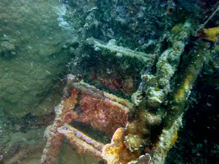Underwater photograph by Joel Bergsma