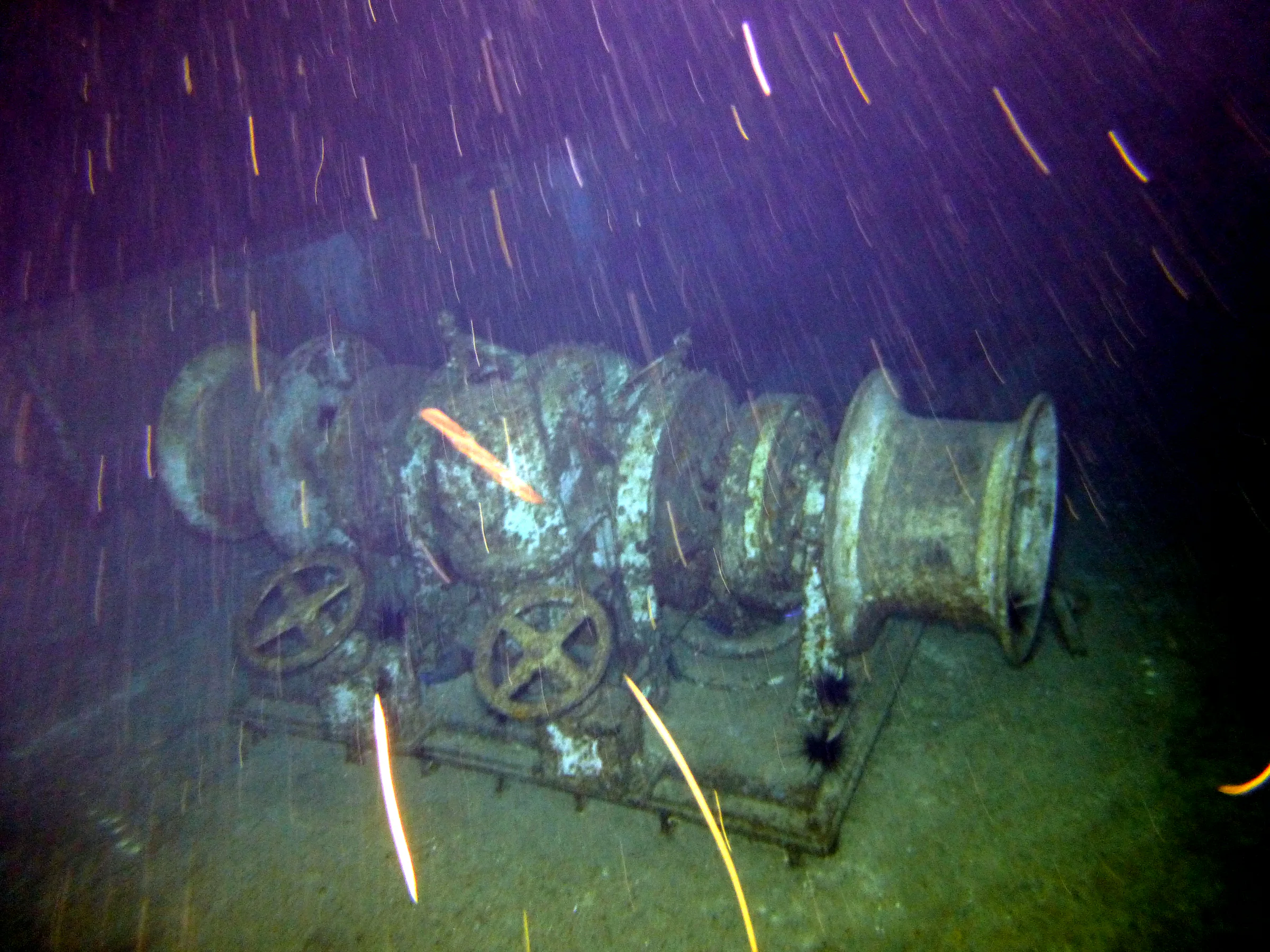 Cayman Islands underwater photograph, 2014
