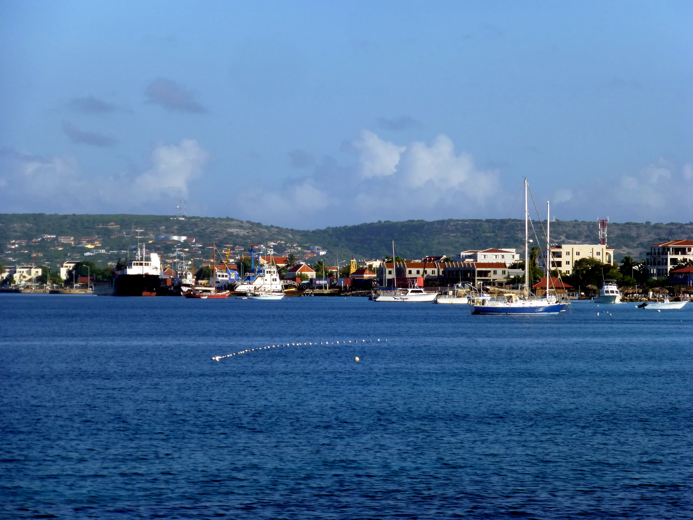 Bonaire underwater photograph, 2013