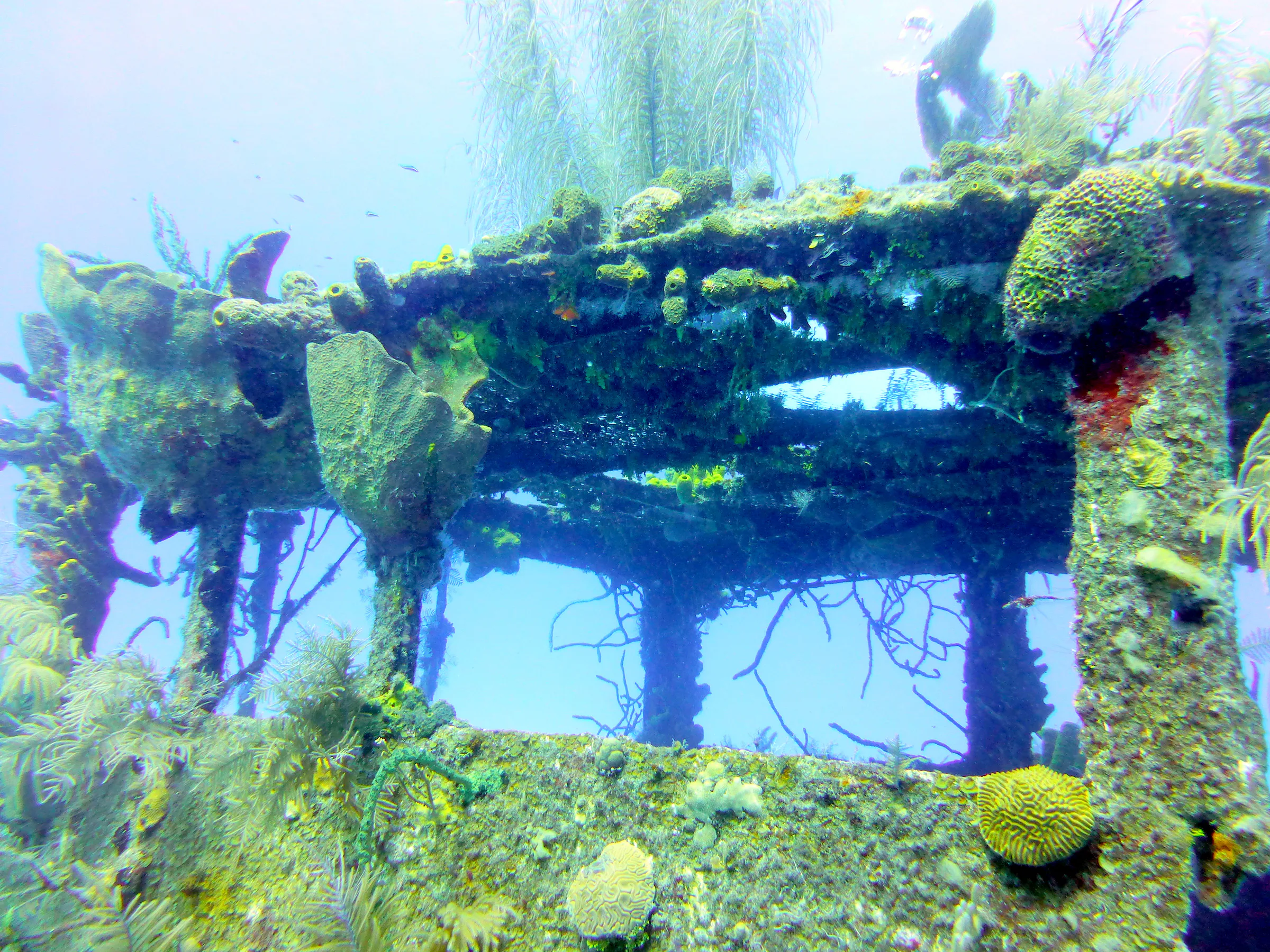 Cayman Islands underwater photograph, 2014