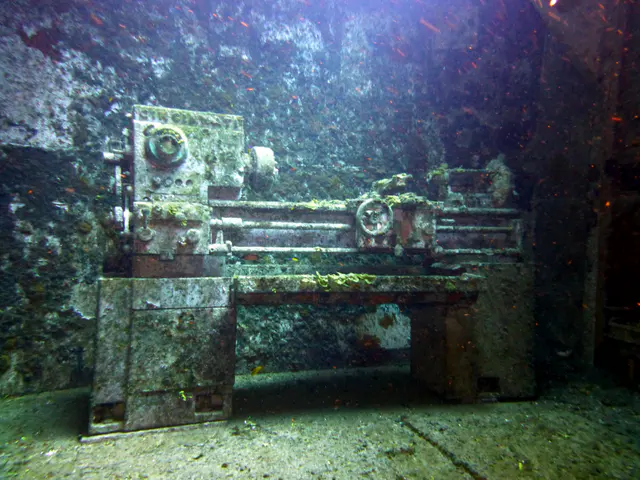 Underwater photograph by Joel Bergsma