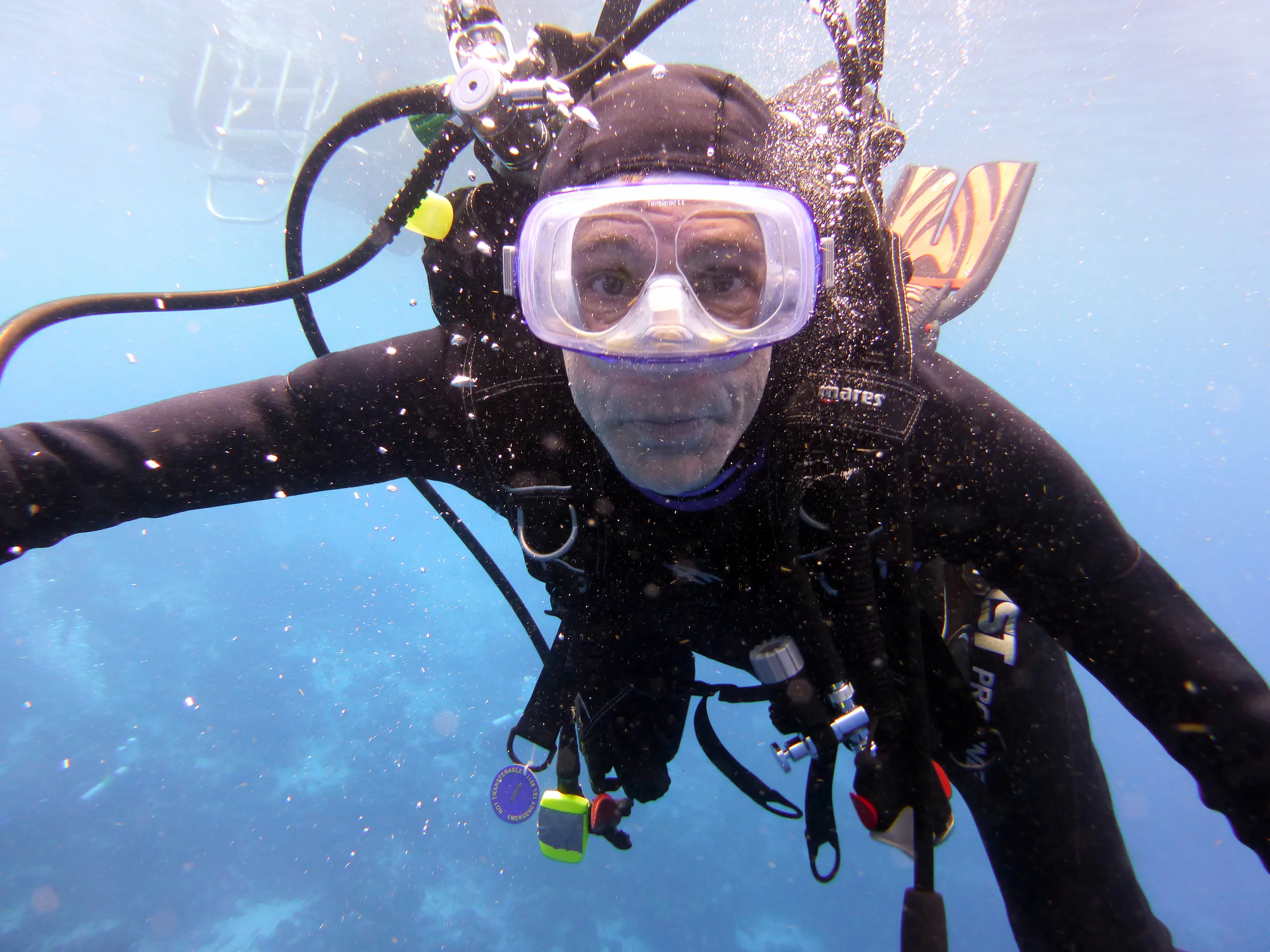 Bonaire underwater photograph, 2013