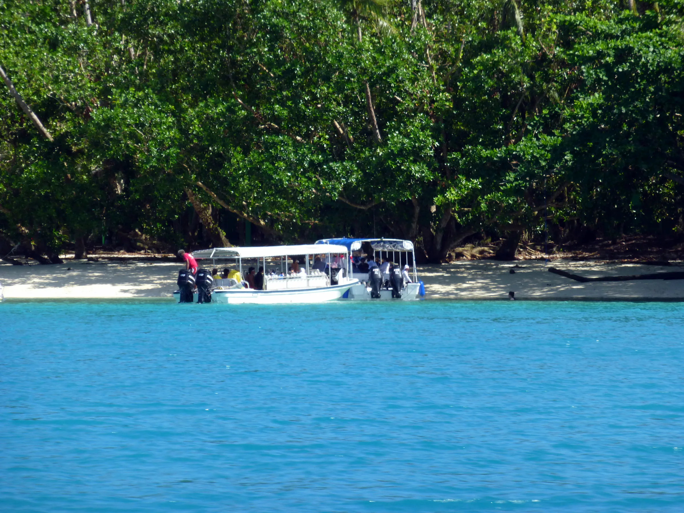 Palau underwater photograph, 2013