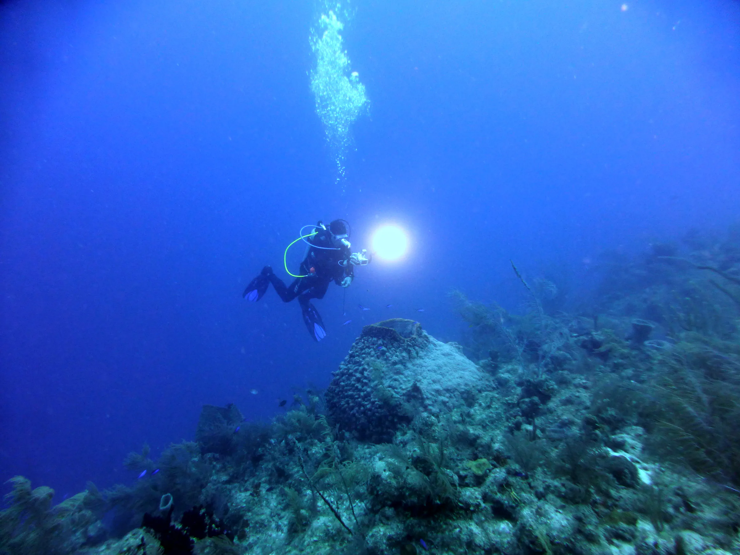 Belize underwater photograph, 2017