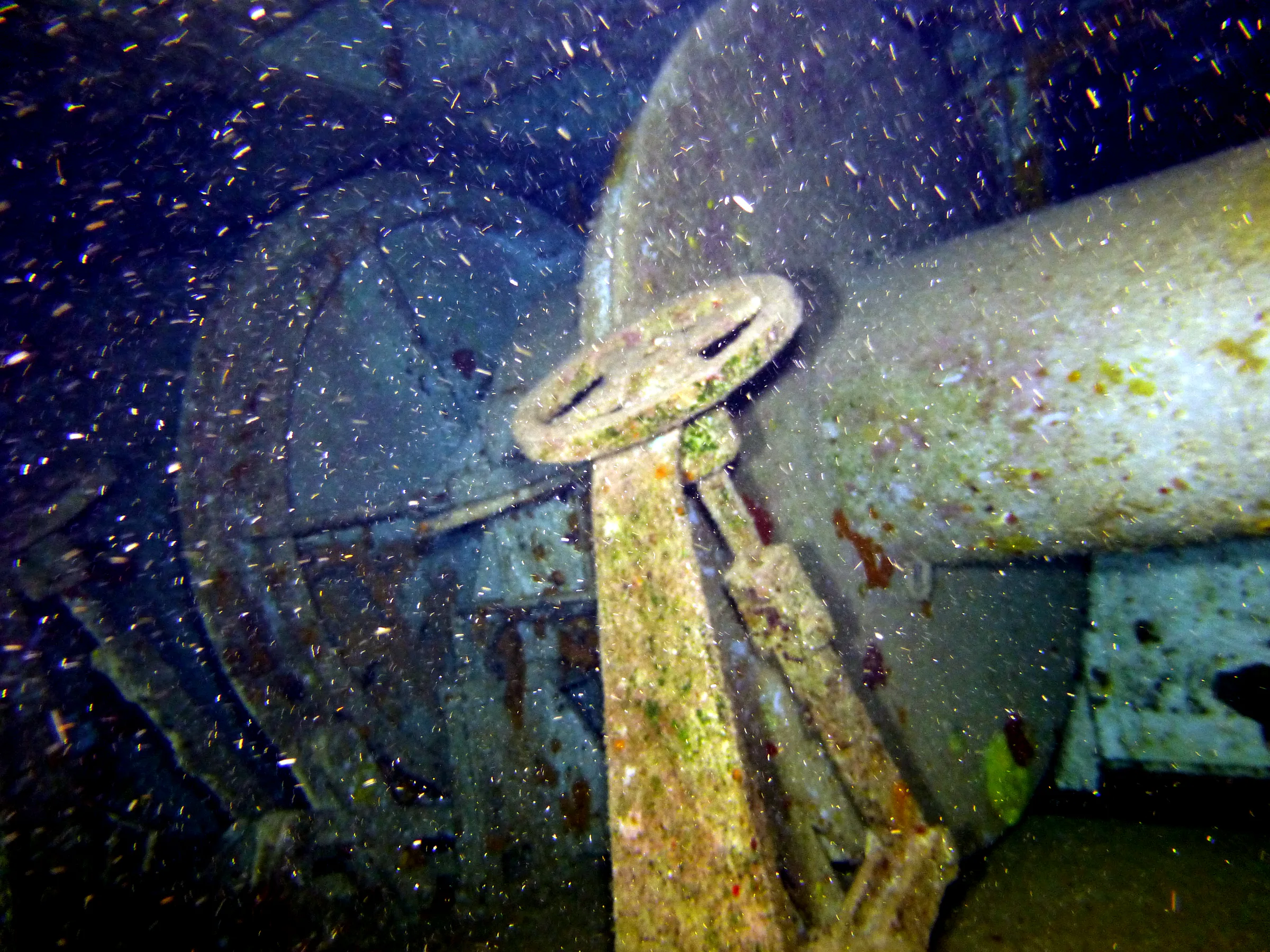 Cayman Islands underwater photograph, 2014