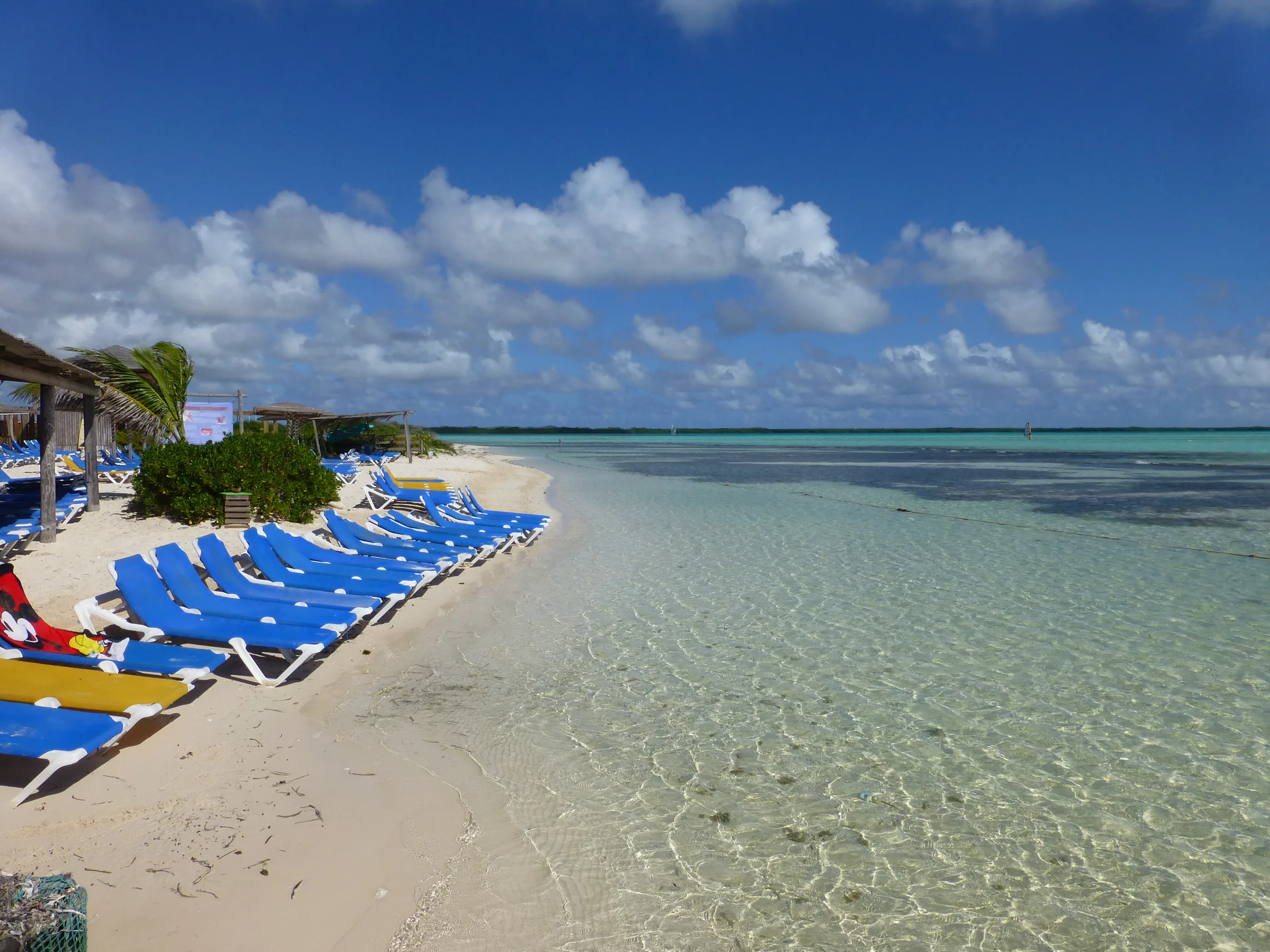 Bonaire underwater photograph, 2013