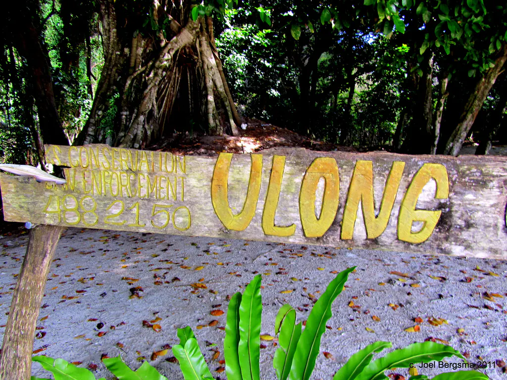 2011-01-14 Ulong Island for lunch (1).JPG