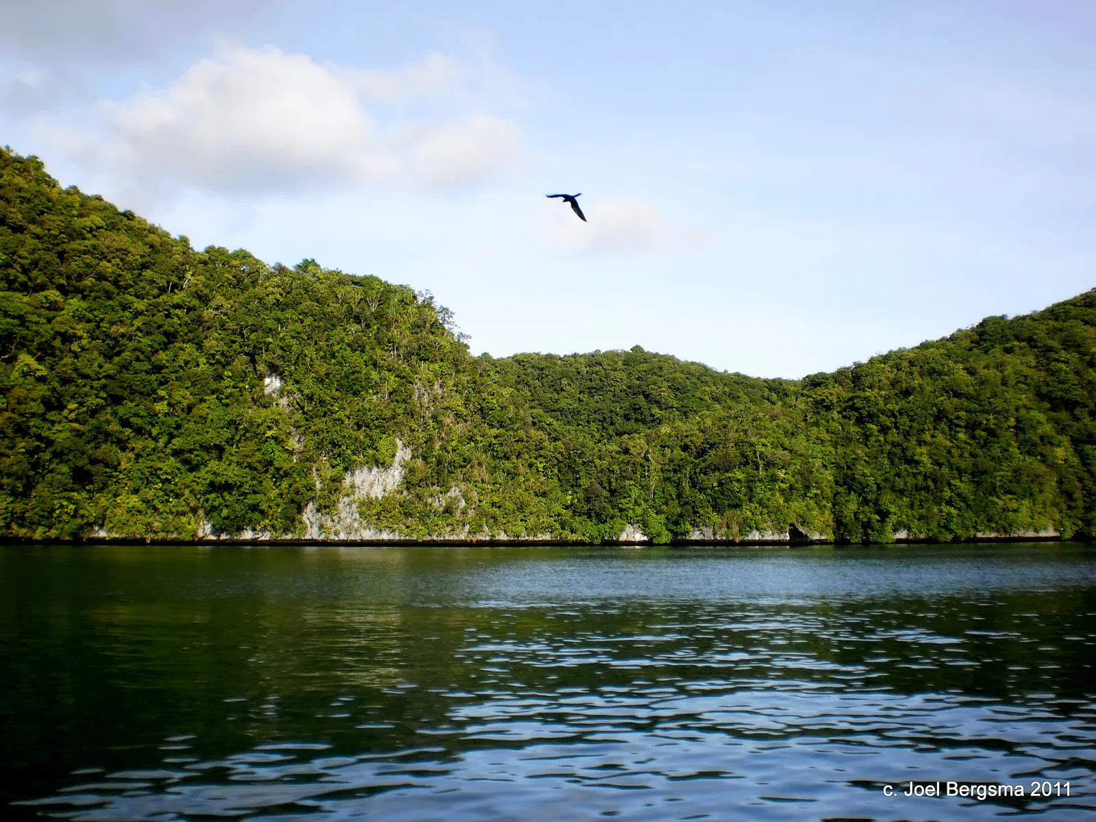 2011-01-15 Rock Islands by boat (12).JPG