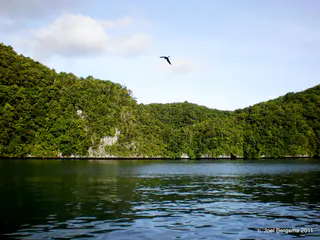 2011-01-15 Rock Islands by boat (12).JPG