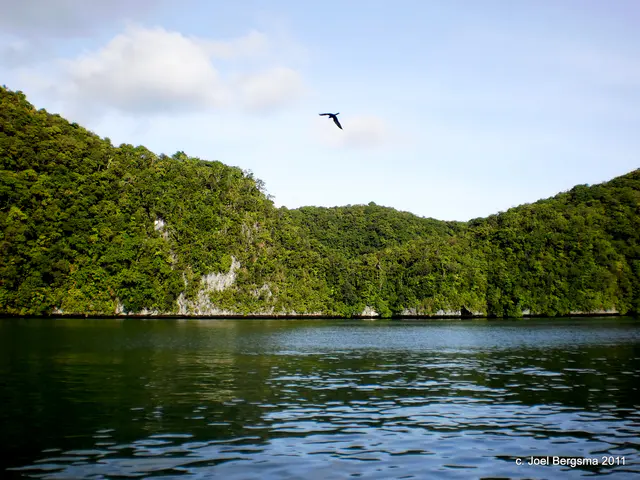 2011-01-15 Rock Islands by boat (12).JPG