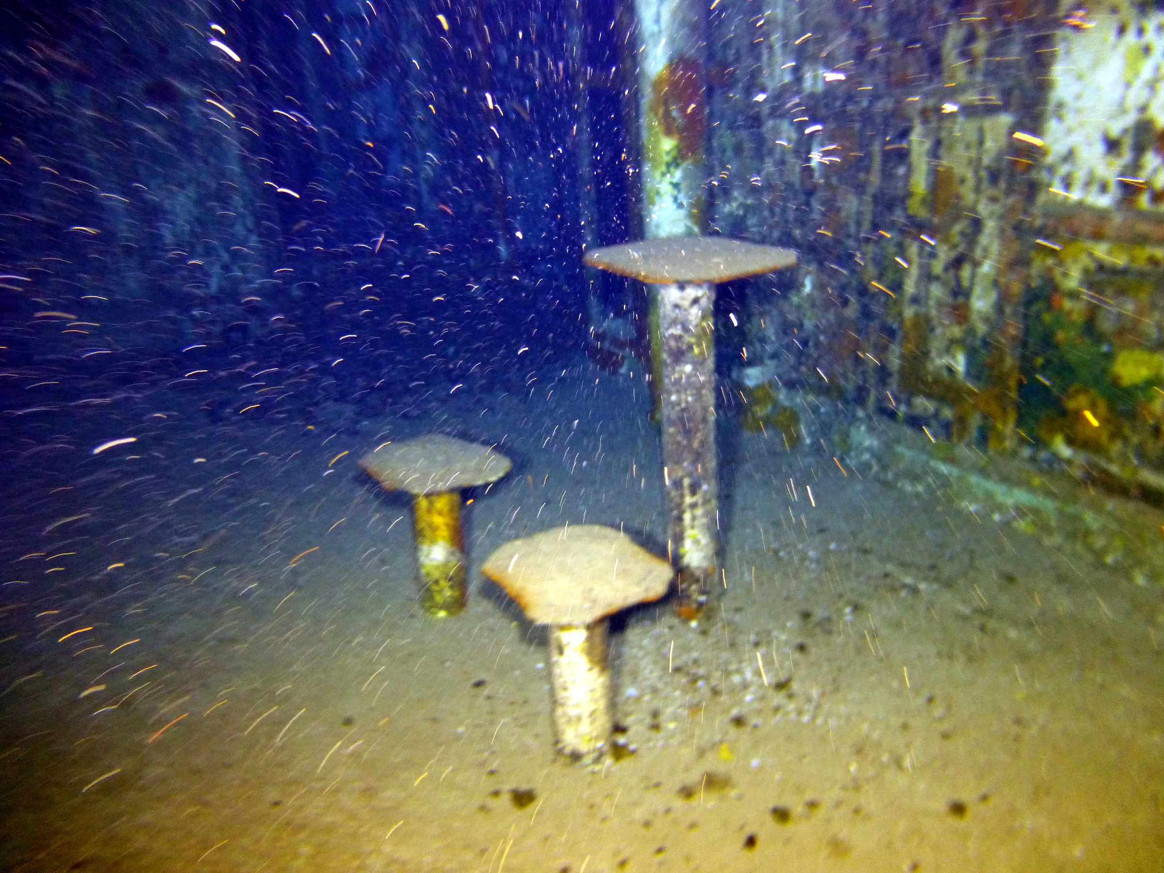 Cayman Islands underwater photograph, 2014