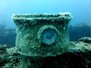 Underwater photograph by Joel Bergsma
