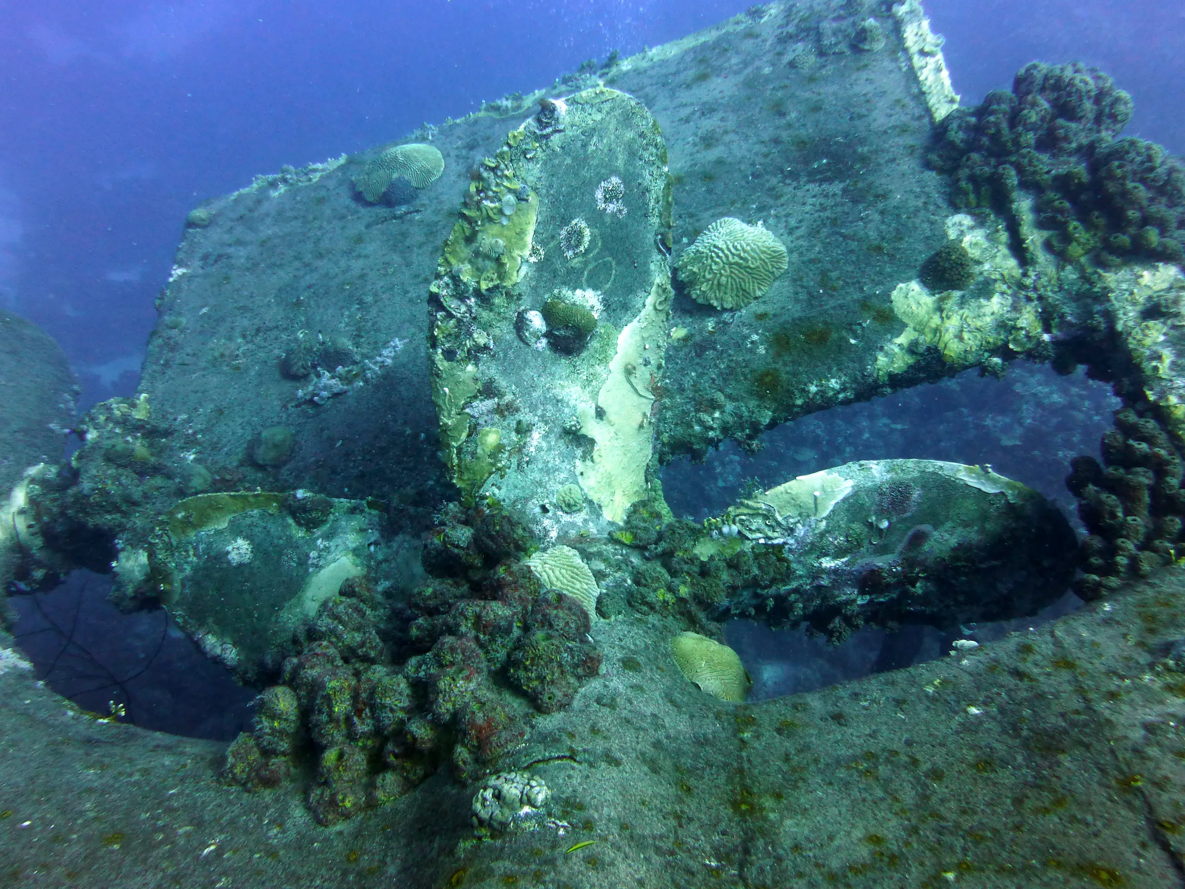 Bonaire underwater photograph, 2013