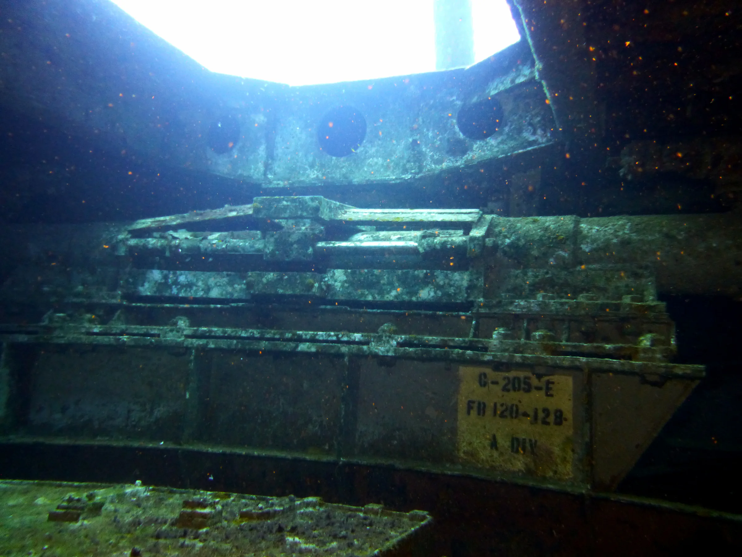 Cayman Islands underwater photograph, 2014