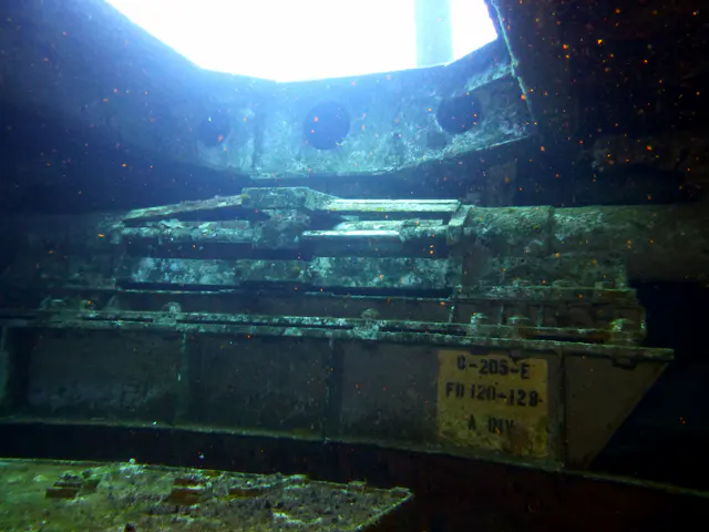 Underwater photograph by Joel Bergsma