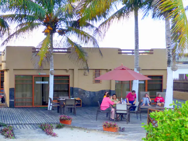 Enjoying the beach front deck at the Red Mangrove Lodge on Isabela Island.