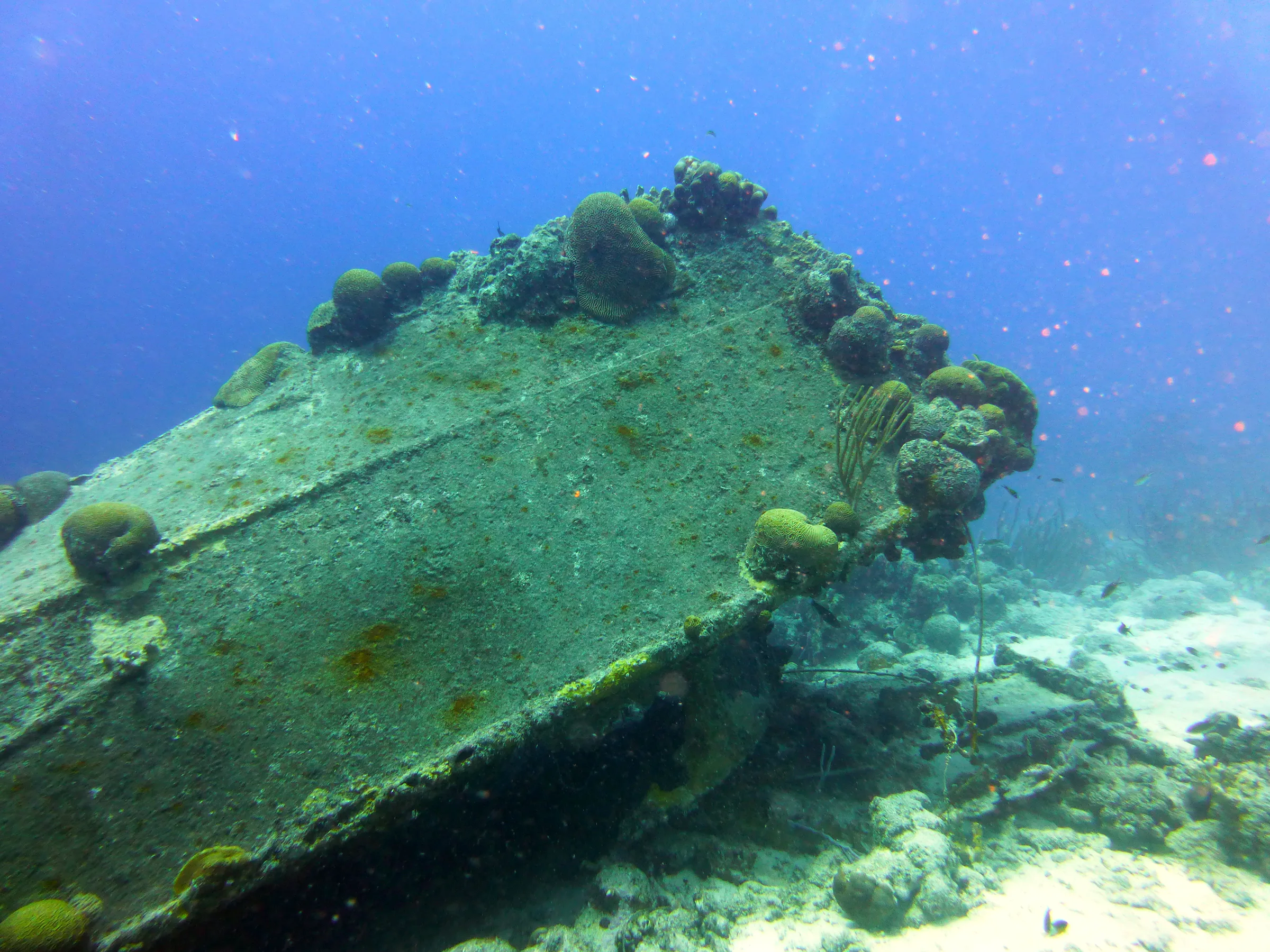 Bonaire underwater photograph, 2013