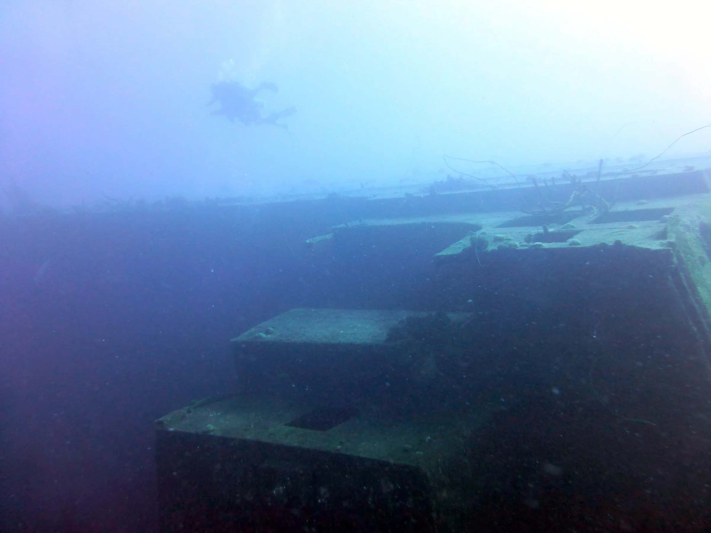 Bonaire underwater photograph, 2013