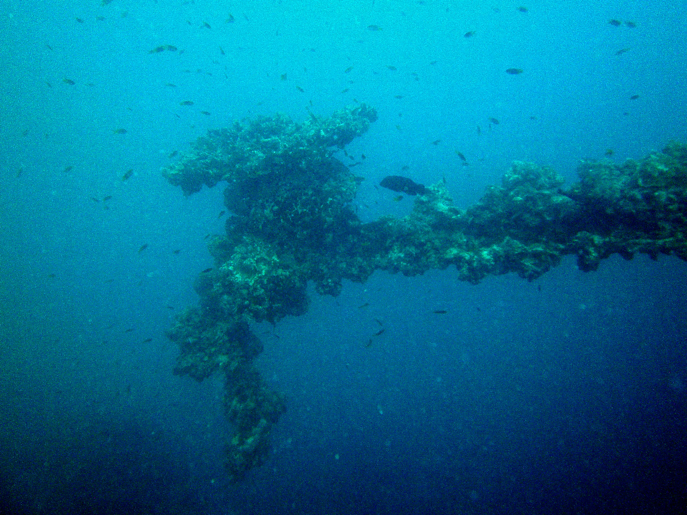 Wreckage portrudes from the ship's deck.