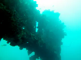 Ship's Upright on the WWII Wreck Nagisan Maru.