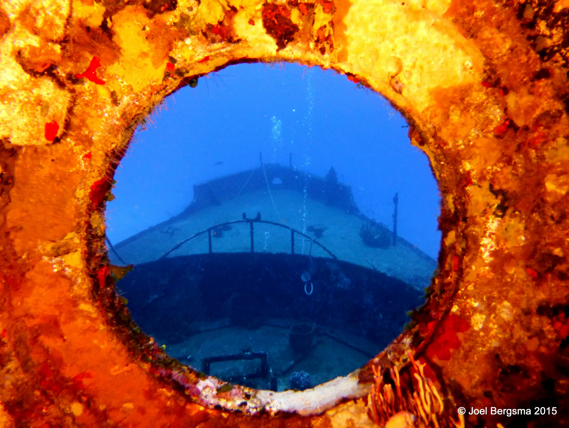Cozumel underwater photograph, 2015