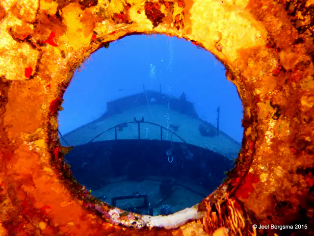 Underwater photograph by Joel Bergsma