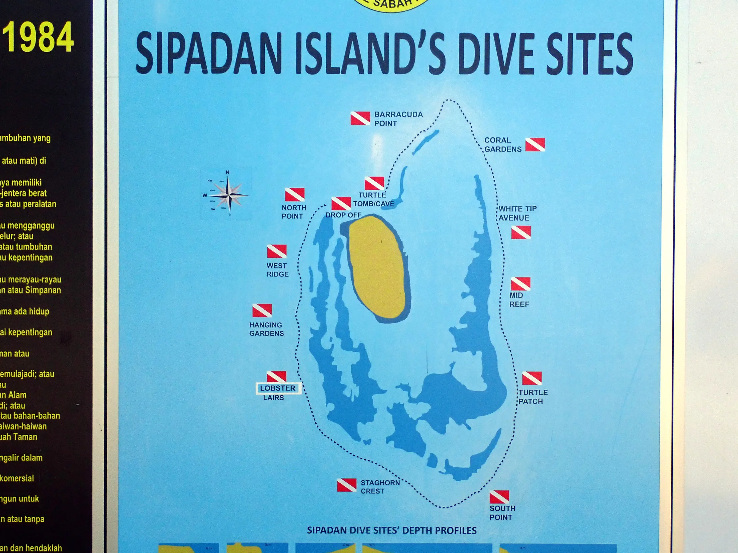 Sipadan, Mabul and Kapalai underwater photograph, 2023