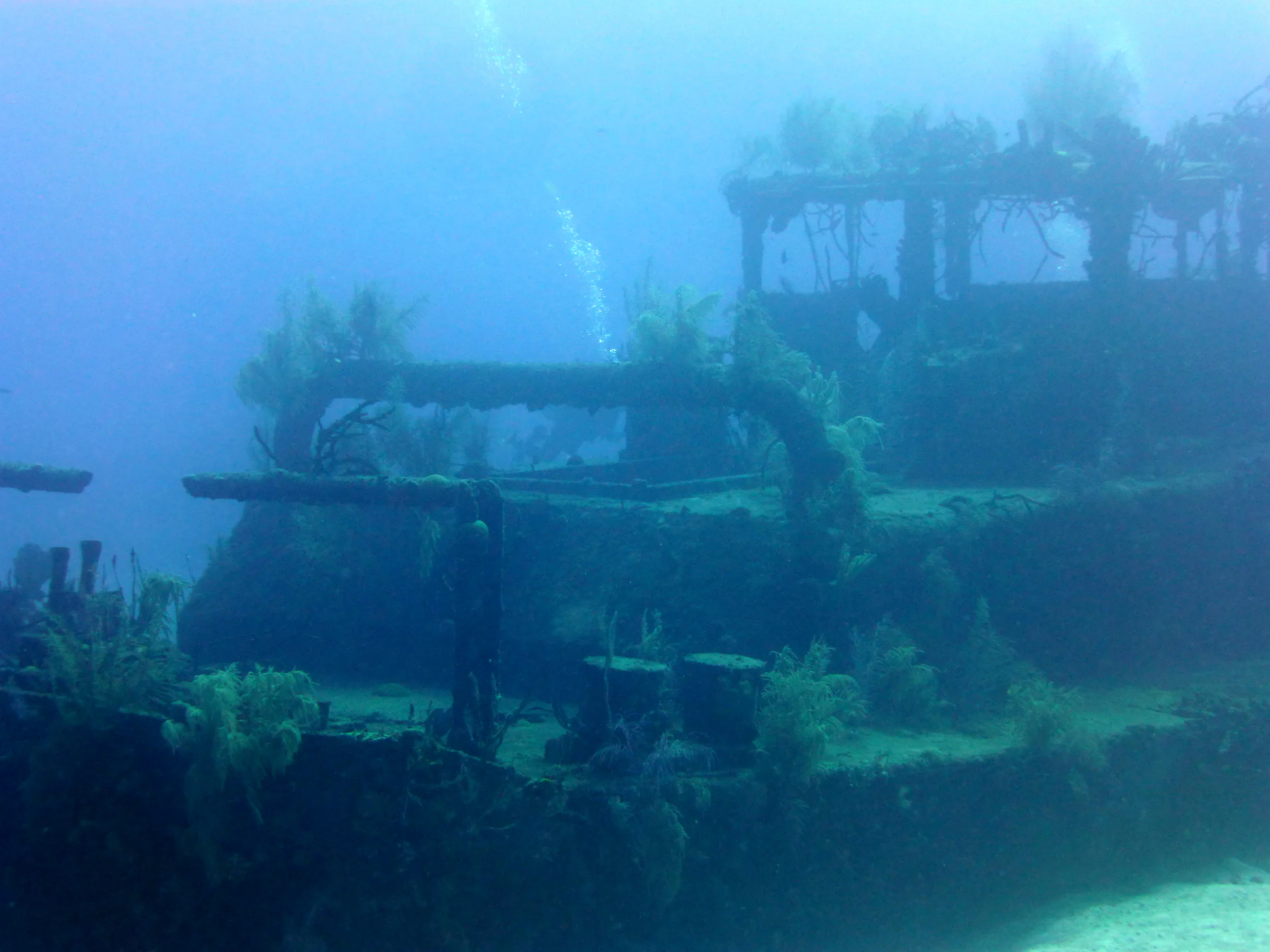 Cayman Islands underwater photograph, 2014