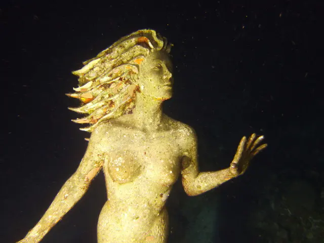 Underwater photograph by Joel Bergsma