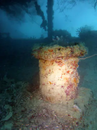 Underwater photograph by Joel Bergsma