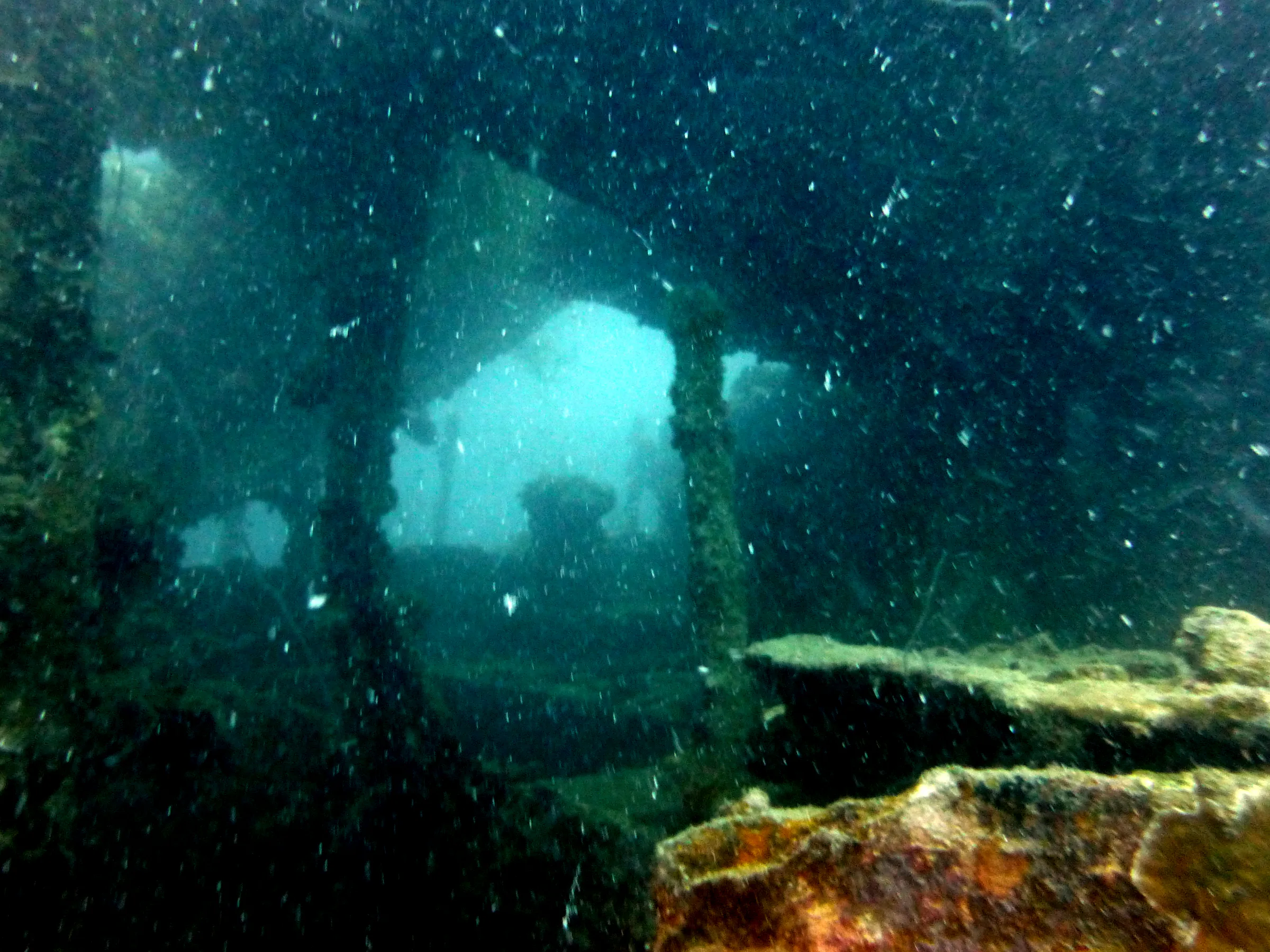 Palau underwater photograph, 2013