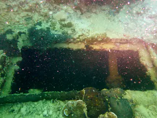 Underwater photograph by Joel Bergsma