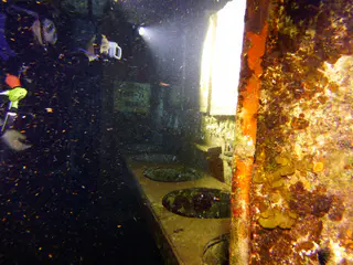 Underwater photograph by Joel Bergsma