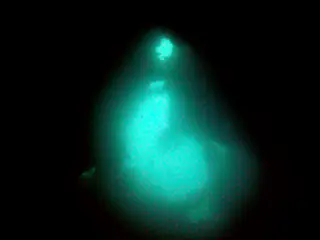 Exiti for one of the holds.