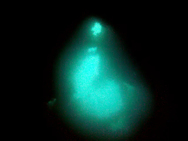 Exiti for one of the holds.