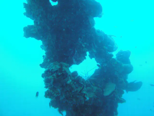 Ship's Upright of the WWII Wreck Nagisan Maru.