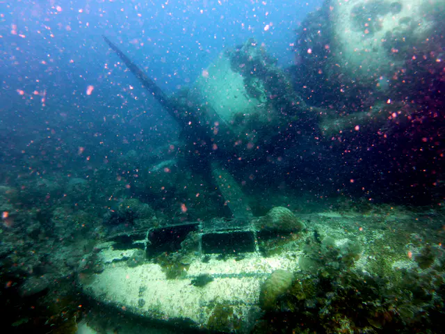Propeller & Pontoon.