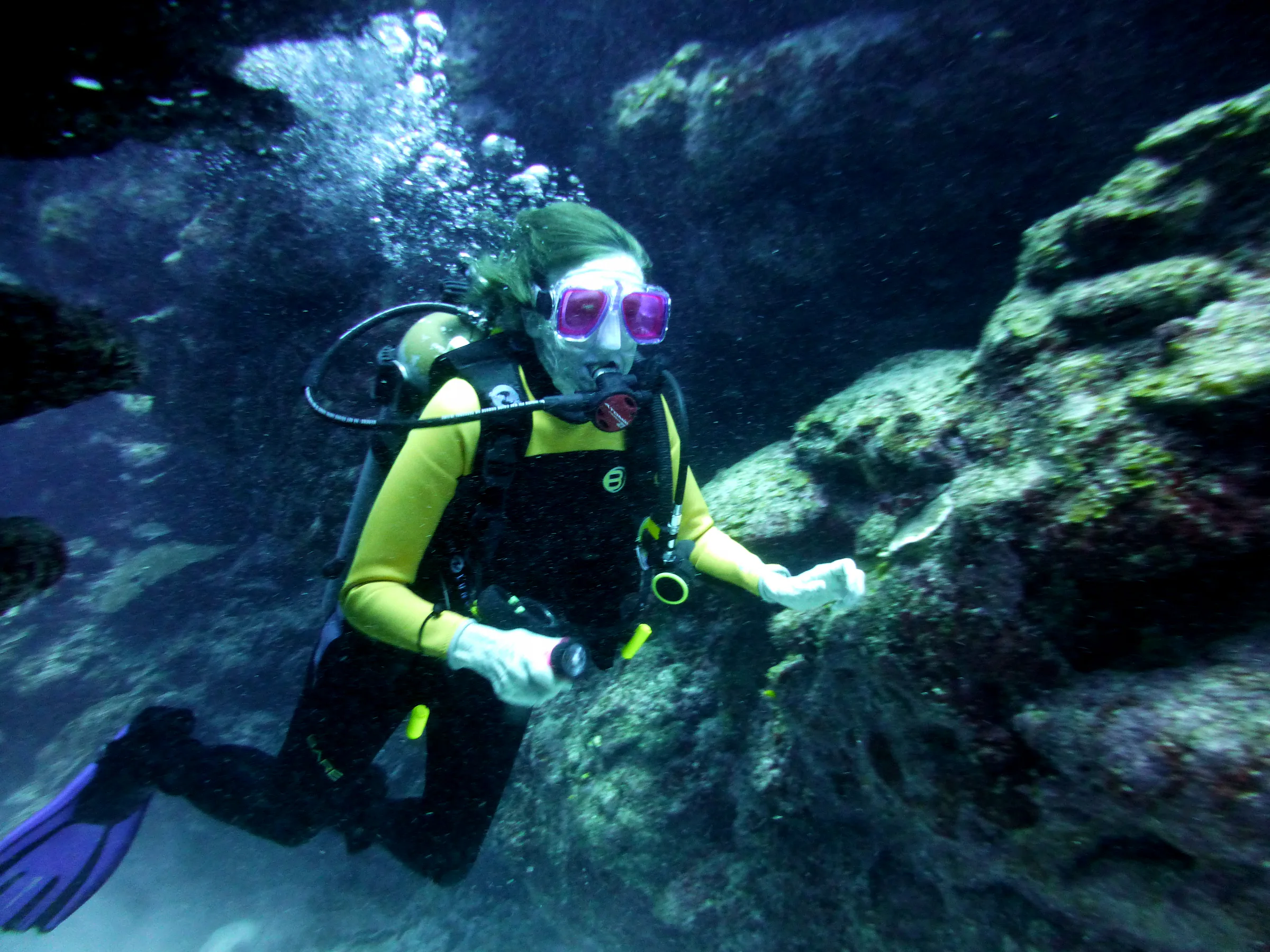 Ambergris Divers. Belize. January 2017.