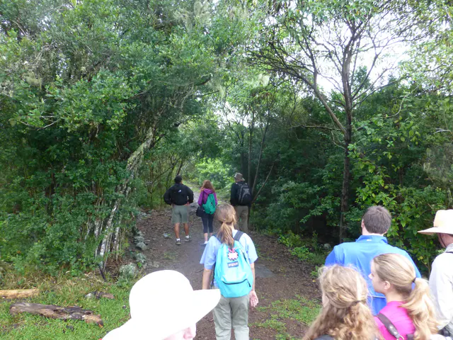 Hiking toward the tortoise reserve on Floreana.