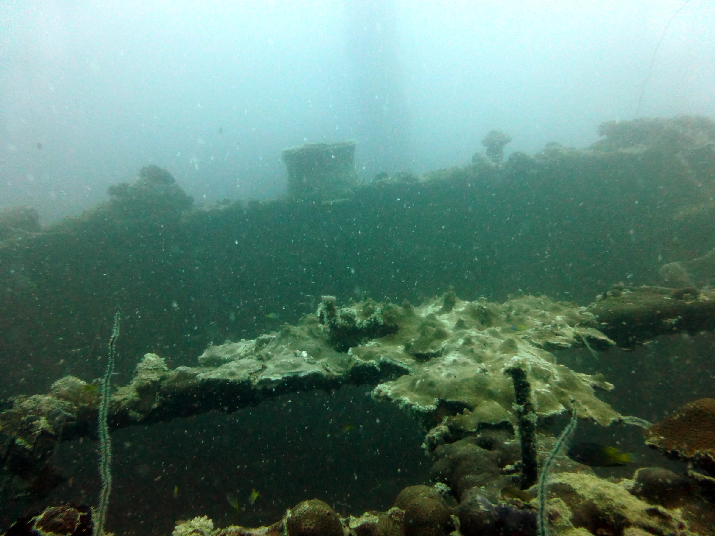 Palau underwater photograph, 2013