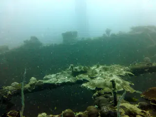 Underwater photograph by Joel Bergsma