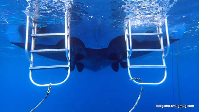Underwater photograph by Joel Bergsma