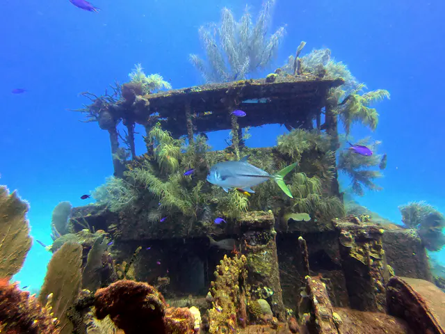 DCIM\100GOPRO\GOPR1128.JPG