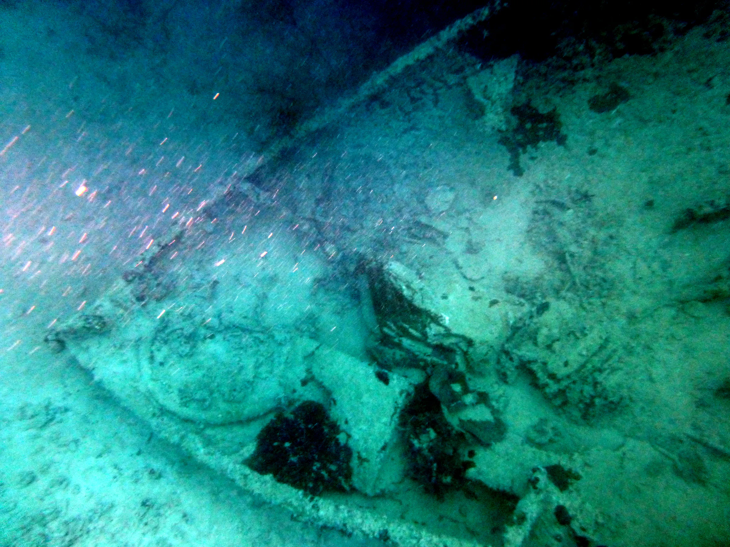 Palau underwater photograph, 2013
